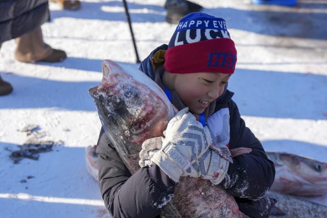 (251227) -- DAQING, Dec. 27, 2025 (Xinhua) -- A child poses for a photo with a newly-caught fish during a Nadam fair in Mongolian Autonomous County of Dorbod, Daqing City, northeast China's Heilongjiang Province, Dec. 27, 2025. An ice and snow Nadam fair featuring winter fishing kicked off here on Saturday. The integrated development fishery, and cultural and tourism industry in Dorbod has not only boosted tourism market, but also increased the income of local fishermen. (Xinhua/Wang Song)