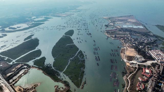 (251227) -- QINZHOU, Dec. 27, 2025 (Xinhua) -- An aerial drone photo taken on Dec. 27, 2025 shows the estuary of the Pinglu Canal in Qinzhou, south China's Guangxi Zhuang Autonomous Region. In winter, the Maowei Sea in Guangxi presents picturesque scenery. In recent years, Guangxi has implemented high-standard ecological protection of the marine environment in the Beibu Gulf, transforming the Maowei Sea into a new cultural and tourism landmark. (Xinhua/Zhang Ailin)