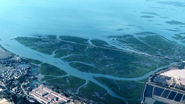 (251227) -- QINZHOU, Dec. 27, 2025 (Xinhua) -- An aerial drone photo taken on Dec. 27, 2025 shows mangrove forests in the Maowei Sea in Qinzhou, south China's Guangxi Zhuang Autonomous Region. In winter, the Maowei Sea in Guangxi presents picturesque scenery. In recent years, Guangxi has implemented high-standard ecological protection of the marine environment in the Beibu Gulf, transforming the Maowei Sea into a new cultural and tourism landmark. (Xinhua/Zhang Ailin)