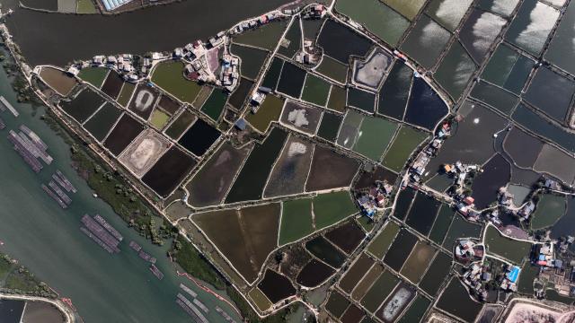 (251227) -- QINZHOU, Dec. 27, 2025 (Xinhua) -- An aerial drone photo taken on Dec. 27, 2025 shows shrimp ponds in Qinzhou, south China's Guangxi Zhuang Autonomous Region. In winter, the Maowei Sea in Guangxi presents picturesque scenery. In recent years, Guangxi has implemented high-standard ecological protection of the marine environment in the Beibu Gulf, transforming the Maowei Sea into a new cultural and tourism landmark. (Xinhua/Zhang Ailin)