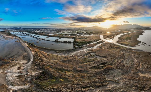 (251228) -- FUZHOU, Dec. 28, 2025 (Xinhua) -- A panoramic aerial drone photo shows a view of the Minjiang River estuary nature reserve in southeast China's Fujian Province, Dec. 27, 2025.
  The Minjiang River estuary wetland serves as an important stopover for bird migration between East Asia and Australia. A large number of tundra swans flock in to rest and forage here every winter. (Xinhua/Wei Peiquan)