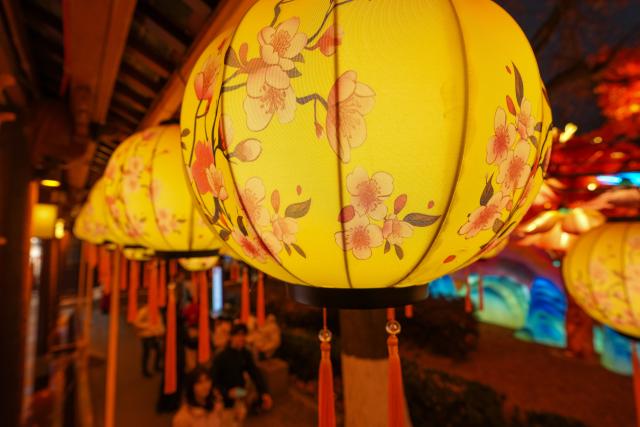 (251230) -- NANJING, Dec. 30, 2025 (Xinhua) -- Citizens view lantern decorations at the Confucius Temple scenic area in Nanjing, east China's Jiangsu Province, Dec. 30, 2025. The lantern decorations are displayed here in celebration of the upcoming New Year. (Xinhua/Li Bo)