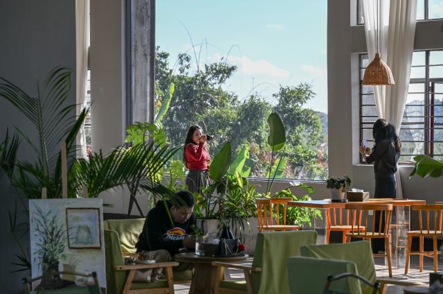 (251231) -- JINGHONG, Dec. 31, 2025 (Xinhua) -- Tourists enjoy their time at a studio in Dadugang Township of Jinghong City, Xishuangbanna Dai Autonomous Prefecture, southwest China's Yunnan Province, Dec. 20, 2025. Wei Chun used to work at an international hotel in a first-tier city. In June 2024, she became an agricultural manager of a collective economy company in Dadugang Township, a role locals refer to as the "Village CEO." 
   Under her leadership, idle factory buildings and vacant land were transformed into cafes, educational spaces, and campsites, providing recreational spaces for visitors. Wei also offered free training in coffee making, tea art, and rural hospitality management, improving service quality and expanding employment opportunities for villagers.
   By 2025, Wei has helped more than 100 villagers acquire new skills and attracted nine talents returning home to start businesses here. (Xinhua/Chen Shuo)