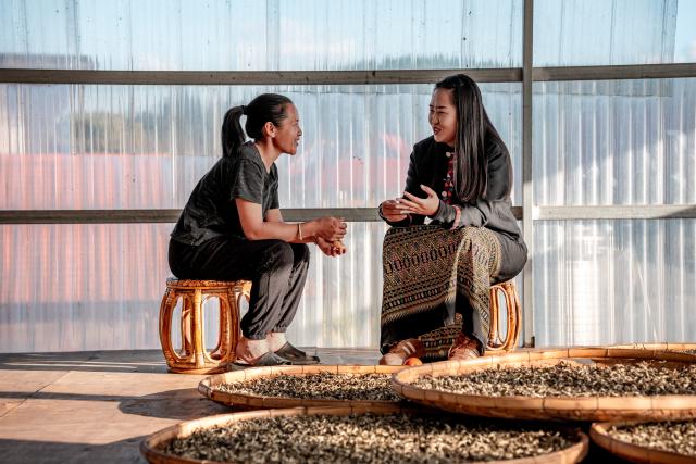 (251231) -- JINGHONG, Dec. 31, 2025 (Xinhua) -- Wei Chun (R) talks to a local villager in Dadugang Township of Jinghong City, Xishuangbanna Dai Autonomous Prefecture, southwest China's Yunnan Province, Dec. 21, 2025. Wei Chun used to work at an international hotel in a first-tier city. In June 2024, she became an agricultural manager of a collective economy company in Dadugang Township, a role locals refer to as the "Village CEO." 
   Under her leadership, idle factory buildings and vacant land were transformed into cafes, educational spaces, and campsites, providing recreational spaces for visitors. Wei also offered free training in coffee making, tea art, and rural hospitality management, improving service quality and expanding employment opportunities for villagers.
   By 2025, Wei has helped more than 100 villagers acquire new skills and attracted nine talents returning home to start businesses here. (Xinhua/Hu Chao)
