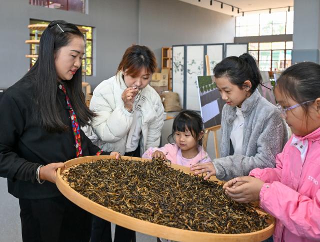(251231) -- JINGHONG, Dec. 31, 2025 (Xinhua) -- Wei Chun (1st L) introduces the procedure of tea making to students on their study tour at a studio in Dadugang Township of Jinghong City, Xishuangbanna Dai Autonomous Prefecture, southwest China's Yunnan Province, Dec. 21, 2025. Wei Chun used to work at an international hotel in a first-tier city. In June 2024, she became an agricultural manager of a collective economy company in Dadugang Township, a role locals refer to as the "Village CEO." 
   Under her leadership, idle factory buildings and vacant land were transformed into cafes, educational spaces, and campsites, providing recreational spaces for visitors. Wei also offered free training in coffee making, tea art, and rural hospitality management, improving service quality and expanding employment opportunities for villagers.
   By 2025, Wei has helped more than 100 villagers acquire new skills and attracted nine talents returning home to start businesses here. (Xinhua/Chen Shuo)
