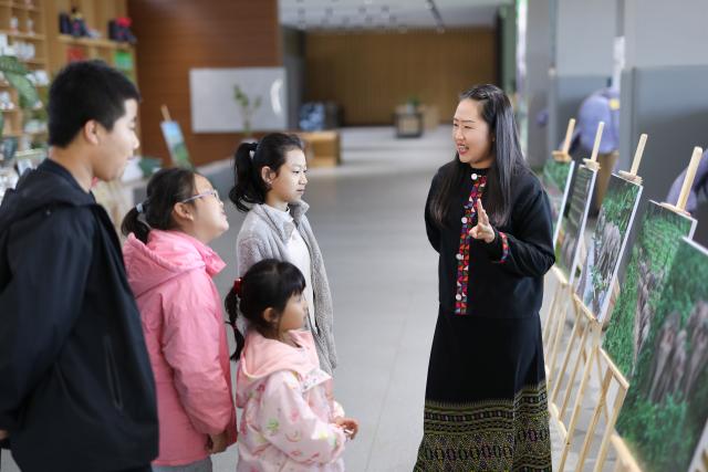 (251231) -- JINGHONG, Dec. 31, 2025 (Xinhua) -- Wei Chun introduces the story of wild Asian elephants at a studio in Dadugang Township of Jinghong City, Xishuangbanna Dai Autonomous Prefecture, southwest China's Yunnan Province, Dec. 21, 2025. Wei Chun used to work at an international hotel in a first-tier city. In June 2024, she became an agricultural manager of a collective economy company in Dadugang Township, a role locals refer to as the "Village CEO." 
   Under her leadership, idle factory buildings and vacant land were transformed into cafes, educational spaces, and campsites, providing recreational spaces for visitors. Wei also offered free training in coffee making, tea art, and rural hospitality management, improving service quality and expanding employment opportunities for villagers.
   By 2025, Wei has helped more than 100 villagers acquire new skills and attracted nine talents returning home to start businesses here. (Xinhua/Du Xiaoyi)