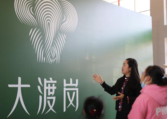 (251231) -- JINGHONG, Dec. 31, 2025 (Xinhua) -- Wei Chun introduces the logo of Dadugang Township at a studio in Dadugang Township of Jinghong City, Xishuangbanna Dai Autonomous Prefecture, southwest China's Yunnan Province, Dec. 21, 2025. Wei Chun used to work at an international hotel in a first-tier city. In June 2024, she became an agricultural manager of a collective economy company in Dadugang Township, a role locals refer to as the "Village CEO." 
   Under her leadership, idle factory buildings and vacant land were transformed into cafes, educational spaces, and campsites, providing recreational spaces for visitors. Wei also offered free training in coffee making, tea art, and rural hospitality management, improving service quality and expanding employment opportunities for villagers.
   By 2025, Wei has helped more than 100 villagers acquire new skills and attracted nine talents returning home to start businesses here. (Xinhua/Du Xiaoyi)