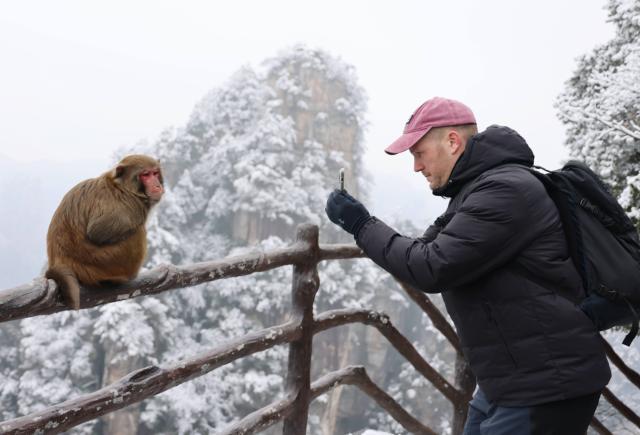 (260102) -- BEIJING, Jan. 2, 2026 (Xinhua) -- A foreign tourist takes photos of a macaque at Huangshizhai scenic spot of Zhangjiajie National Forest Park after a snowfall in Zhangjiajie, central China's Hunan Province, Jan. 2, 2026. Snowfall hit many parts of China during the New Year's Day holiday, drawing tourists to enjoy the snowy scenery. (Photo by Wu Yongbing/Xinhua)