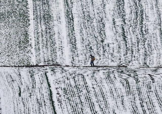 (260102) -- BEIJING, Jan. 2, 2026 (Xinhua) -- This photo taken on Jan. 1, 2026 shows a man walking in a wheat field after a snowfall in Xiangyang City, central China's Hubei Province. Snowfall hit many parts of China during the New Year's Day holiday, drawing tourists to enjoy the snowy scenery. (Photo by Xie Yong/Xinhua)