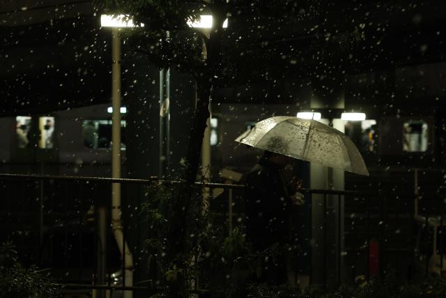 (260102) -- TOKYO, Jan. 2, 2026 (Xinhua) -- A man walks on a street on the first snow day of 2026 in Tokyo, Japan, Jan. 2, 2026. (Xinhua/Jia Haocheng)