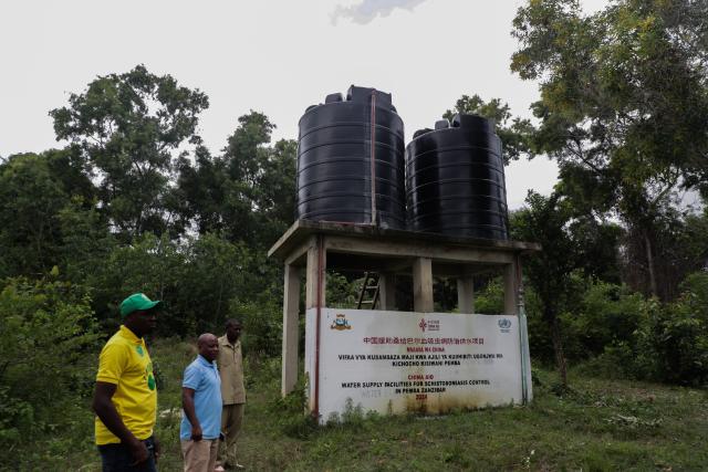 (260102) -- ZANZIBAR, Jan. 2, 2026 (Xinhua) -- Photo taken on Jan. 1, 2026, shows a China-aided water supply facility standing in a community on Pemba Island, Zanzibar, Tanzania. TO GO WITH "Feature: Where clean water flows, disease recedes: China's schistosomiasis control effort saves lives in Zanzibar" (Xinhua/Emmanuel Herman)