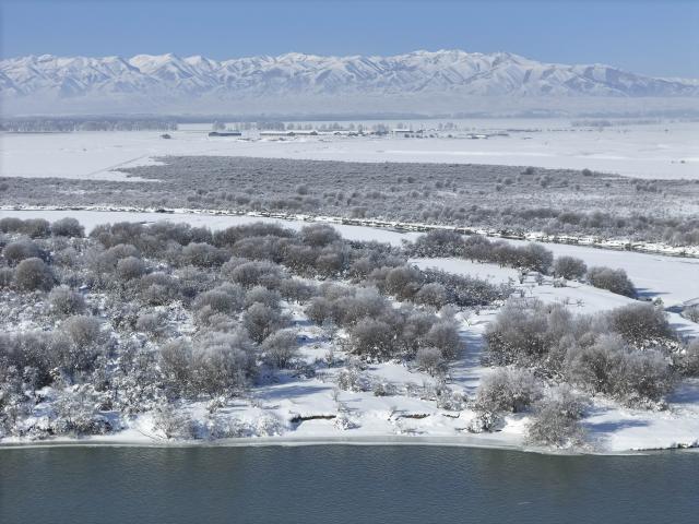 (260103) -- ZHAOSU, Jan. 3, 2026 (Xinhua) -- An aerial drone photo taken on Jan. 3, 2026 shows a view of a wetland park in Zhaosu County, Ili Kazak Autonomous Prefecture, northwest China's Xinjiang Uygur Autonomous Region. Leveraging its unique ice and snow resources in winter, Zhaosu County has developed diverse winter tourist services to attract visitors. (Xinhua/Hu Huhu)