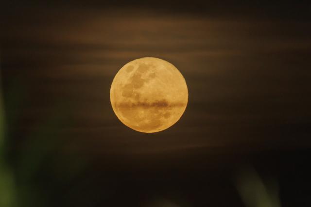 (260104) -- KIGALI, Jan. 4, 2026 (Xinhua) -- This photo taken on Jan. 3, 2026 shows the super moon over Kigali, Rwanda. The first super moon of 2026, characterized by the moon's unusually close proximity to Earth, resulting in a larger and brighter appearance, showed in the sky on Saturday. (Photo by Cyril Ndegeya/Xinhua)