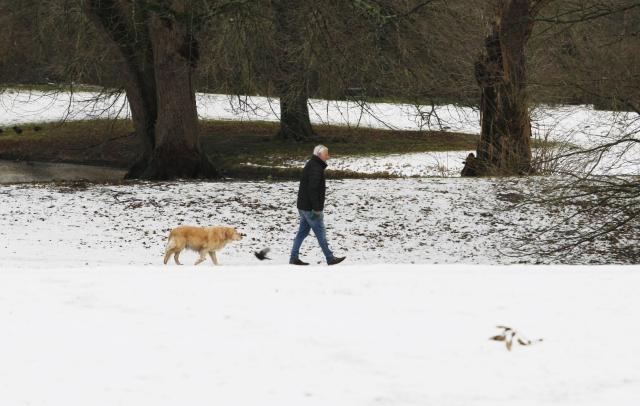 (260104) -- THE HAGUE, Jan. 4, 2026 (Xinhua) -- A man walks with his dog on the snow ground in a park in the Hague, the Netherlands, Jan. 4, 2026. (Xinhua/Shao Haijun)