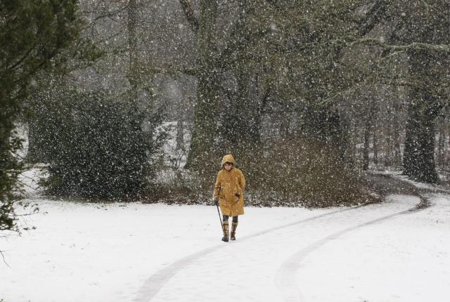 (260104) -- THE HAGUE, Jan. 4, 2026 (Xinhua) -- A woman walks during the snow in a park in the Hague, the Netherlands, Jan. 4, 2026. (Xinhua/Shao Haijun)