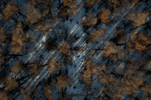 (260106) -- BEIJING, Jan. 6, 2026 (Xinhua) -- Athletes take part in the cross-country skiing race in the Changchun Jingyuetan International Vasaloppet Ski Festival in Changchun, northeast China's Jilin Province, Jan. 4, 2026. (Xinhua/Xu Chang)