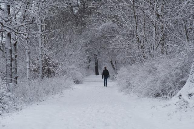 (260107) -- THE HAGUE, Jan. 7, 2026 (Xinhua) -- A man walks down a road covered with snow in the Hague, the Netherlands, Jan. 7, 2026. The Royal Netherlands Meteorological Institute (KNMI) issued a code orange snowfall warning on Wednesday, with some areas of the Netherlands receiving up to 10 centimeters of snow. (Xinhua/Shao Haijun)