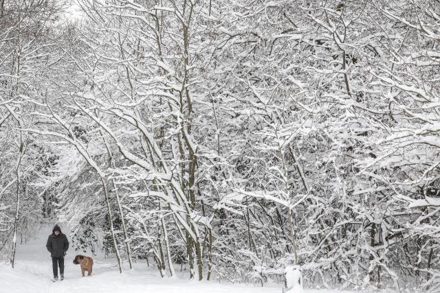 (260107) -- BUDAPEST, Jan. 7, 2026 (Xinhua) -- A man walks his dog in the snow in Budapest, Hungary, Jan. 7, 2026. (Photo by David Balogh/Xinhua)