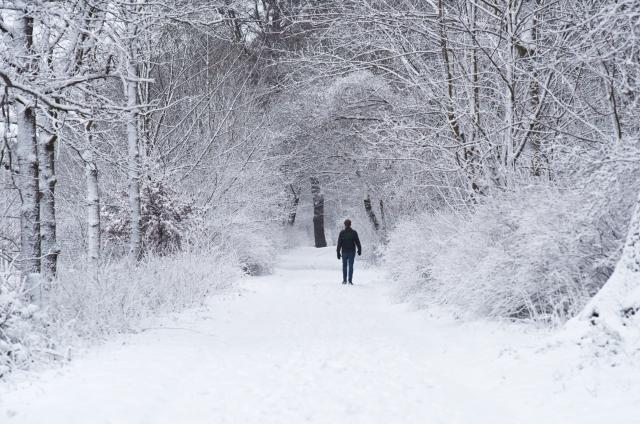 (260108) -- BEIJING, Jan. 8, 2026 (Xinhua) -- A man walks on a road covered with snow in the Hague, the Netherlands, Jan. 7, 2026. The Royal Netherlands Meteorological Institute (KNMI) issued a code orange snowfall warning on Wednesday, with some areas of the Netherlands receiving up to 10 centimeters of snow. (Xinhua/Shao Haijun)