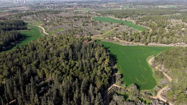 (260109) -- JERUSALEM, Jan. 9, 2026 (Xinhua) -- This aerial drone photo taken on Jan. 8, 2026 shows a view of Ben Shemen Forest in central Israel. Due to early-arrived and substantial winter rainfall this year, the forest has burst into vibrant life. (Photo by Gil Cohen Magen/Xinhua)