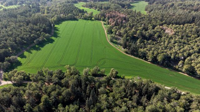 (260109) -- JERUSALEM, Jan. 9, 2026 (Xinhua) -- This aerial drone photo taken on Jan. 8, 2026 shows a view of Ben Shemen Forest in central Israel. Due to early-arrived and substantial winter rainfall this year, the forest has burst into vibrant life. (Photo by Gil Cohen Magen/Xinhua)