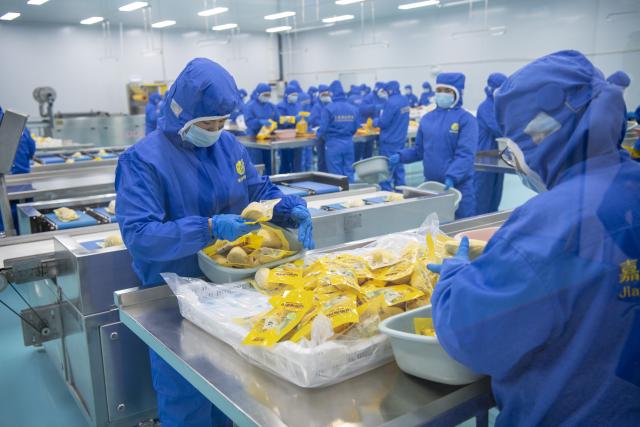 (260109) -- NANNING, Jan. 9, 2026 (Xinhua) -- People work at a durian processing enterprise in the Qinzhou comprehensive bonded zone in Qinzhou, south China's Guangxi Zhuang Autonomous Region, Jan. 6, 2026.
  A ceremony was held on Tuesday at Qinzhou Port, south China's Guangxi Zhuang Autonomous Region, marking the arrival of Indonesia's first container of frozen durian exported to China via maritime transport, an important step in expanding bilateral agricultural trade.
  TO GO WITH "Economic Watch: First sea-shipment of Indonesian frozen durian arrives in China, opening new trade route" (Photo by Hou Chaobo/Xinhua)