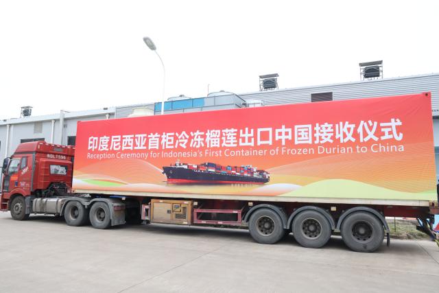 (260109) -- NANNING, Jan. 9, 2026 (Xinhua) -- A container carrying 23 tonnes of frozen durian pulp and puree from Indonesia arrives at the Qinzhou comprehensive bonded zone in Qinzhou, south China's Guangxi Zhuang Autonomous Region, Jan. 6, 2026.
  A ceremony was held on Tuesday at Qinzhou Port, south China's Guangxi Zhuang Autonomous Region, marking the arrival of Indonesia's first container of frozen durian exported to China via maritime transport, an important step in expanding bilateral agricultural trade.
  TO GO WITH "Economic Watch: First sea-shipment of Indonesian frozen durian arrives in China, opening new trade route" (Photo by Hou Chaobo/Xinhua)