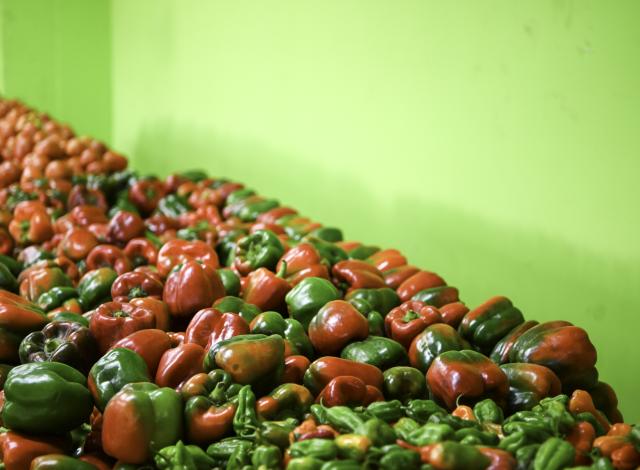 (260109) -- CARACAS, Jan. 9, 2026 (Xinhua) -- Photo taken on Jan. 9, 2026 shows vegetables in a store in Caracas, Venezuela. (Xinhua/Ding Hongfa)