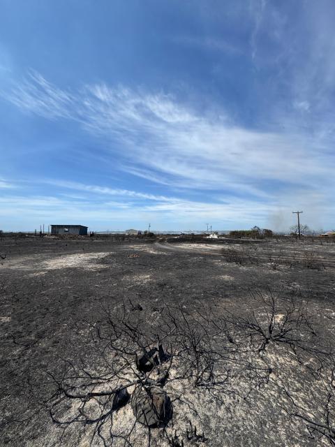 (260109) -- CAPE TOWN, Jan. 9, 2026 (Xinhua) -- An area burned by a wildfire is seen in Kouga Municipality in South Africa's Eastern Cape province, Jan. 9, 2026. TO GO WITH "Wildfires prompt evacuations, road closures along South Africa's southern coast" (South Africa's Kouga Municipality Government/Handout via Xinhua)