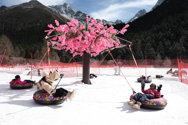 (260110) -- BEIJING, Jan. 10, 2026 (Xinhua) -- Tourists have fun at a ski resort in Lixian County, southwest China's Sichuan Province, Jan. 5, 2026.
  Sichuan ranks among the world's richest regions in low-latitude ice-and-snow tourism, and by leveraging its iconic landscapes that blend snowy mountains with mild temperatures, the province has become a popular destination for travelers at home and abroad. (Xinhua/Jiang Hongjing)