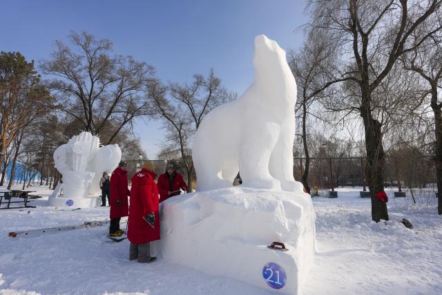 (260110) -- HARBIN, Jan. 10, 2026 (Xinhua) -- Contestants from Georgia create their snow sculpture at the venue of Sun Island Snow Expo in Harbin, northeast China's Heilongjiang Province, Jan. 9, 2026. A four-day snow sculpture competition concluded here on Friday, with the participation of 25 teams from 13 countries. (Xinhua/Wang Song)