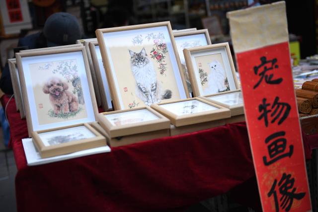 (260110) -- XI'AN, Jan. 10, 2026 (Xinhua) -- Pet portrait paintings are displayed in Shuyuanmen historical and cultural district in Xi'an, northwest China's Shaanxi Province, Jan. 9, 2026. Nestled near Beilin, meaning "the forest of stone steles" in Chinese, the Shuyuanmen historical and cultural district is a natural hub for Chinese calligraphy and painting arts. The district is now witnessing a rise in custom pet portrait services. Blending traditional artistic techniques with modern aesthetics, those offerings are winning the hearts of both pet lovers and tourists, bringing fresh and lively energy into this centuries-old neighborhood. (Xinhua/Li Yibo)