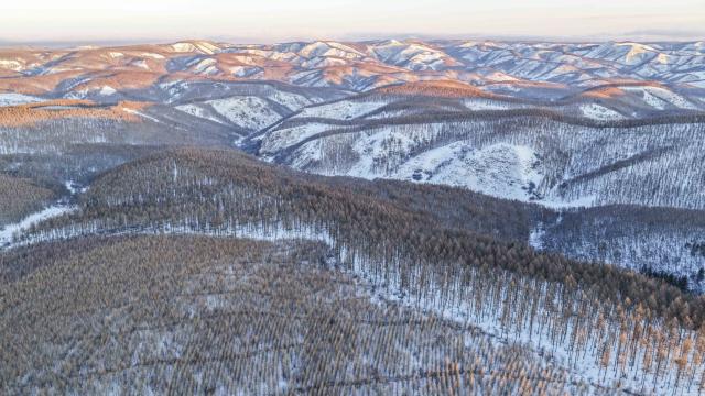 (260110) -- CHENGDE, Jan. 10, 2026 (Xinhua) -- An aerial drone photo taken on Jan. 10, 2026 shows the winter scenery at the Saihanba national nature reserve in Chengde City, north China's Hebei Province. (Photo by Liu Mancang/Xinhua)