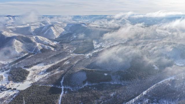 (260110) -- CHENGDE, Jan. 10, 2026 (Xinhua) -- An aerial drone photo taken on Jan. 10, 2026 shows the winter scenery at the Saihanba national nature reserve in Chengde City, north China's Hebei Province. (Photo by Liu Mancang/Xinhua)