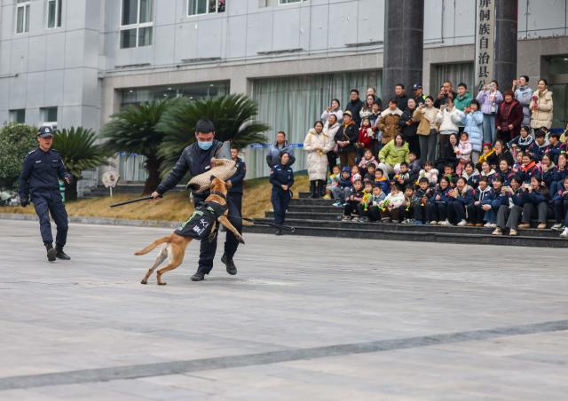 (260110) -- BEIJING, Jan. 10, 2026 (Xinhua) -- A police officer trains a police dog at a public security bureau in Yuping Dong Autonomous County, southwest China's Guizhou Province, Jan. 10, 2026. Various activities were held nationwide to mark the sixth Chinese People's Police Day. (Photo by Hu Panxue/Xinhua)