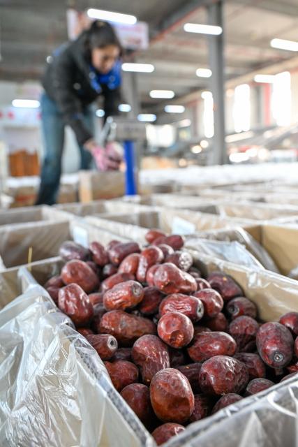 (260110) -- MOYU, Jan. 10, 2026 (Xinhua) -- A staff member packs products at a network technology company in Moyu County, Hotan Prefecture, northwest China's Xinjiang Uygur Autonomous Region, Jan. 9, 2026. Premium Xinjiang goods like walnuts and red jujubes, which are popular choices for customers nationwide for the Chinese New Year, have entered their peak sales season as the Spring Festival approaches. E-commerce companies in Hotan are leveraging live-streaming sales and online shopping festivals to promote high-quality agricultural products of Xinjiang, boosting farmers' incomes and rural revitalization. (Xinhua/Ding Lei)