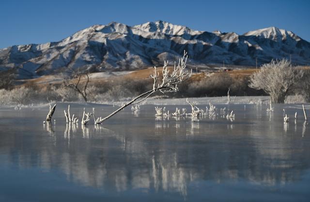 (260110) -- QILIAN, Jan. 10, 2026 (Xinhua) -- This photo taken on Jan. 10, 2026 shows the rime scenery in Qilian County of Haibei Tibetan Autonomous Prefecture, northwest China's Qinghai Province. (Xinhua/Zhang Long)