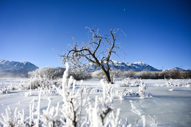 (260110) -- QILIAN, Jan. 10, 2026 (Xinhua) -- This photo taken on Jan. 10, 2026 shows the rime scenery in Qilian County of Haibei Tibetan Autonomous Prefecture, northwest China's Qinghai Province. (Xinhua/Qi Zhiyue)