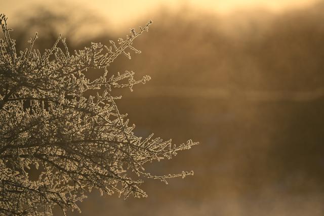 (260110) -- QILIAN, Jan. 10, 2026 (Xinhua) -- This photo taken on Jan. 10, 2026 shows the rime scenery in Qilian County of Haibei Tibetan Autonomous Prefecture, northwest China's Qinghai Province. (Xinhua/Zhang Long)