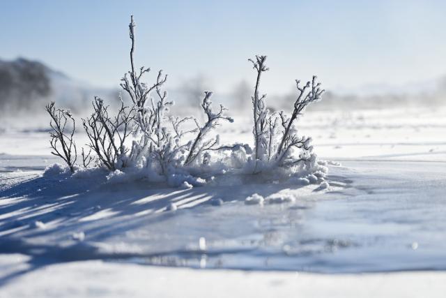 (260110) -- QILIAN, Jan. 10, 2026 (Xinhua) -- This photo taken on Jan. 10, 2026 shows the rime scenery in Qilian County of Haibei Tibetan Autonomous Prefecture, northwest China's Qinghai Province. (Xinhua/Qi Zhiyue)