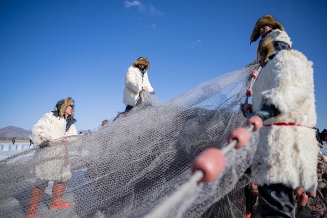 (260110) -- HOHHOT, Jan. 10, 2026 (Xinhua) -- Fishermen haul the fishing net during the 4th Hasuhai Lake winter fishing festival in Tumd Left Banner of Hohhot, north China's Inner Mongolia Autonomous Region, Jan. 10, 2026. The 4th Hasuhai Lake winter fishing festival opened in Tumd Left Banner of Hohhot on Saturday. The activity features ice and snow entertainment, hot spring experience, delicious food and folk shows, attracting many citizens and tourists. (Xinhua/Lian Zhen)