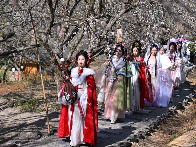 (260110) -- YONGTAI, Jan. 10, 2026 (Xinhua) -- Women in Chinese traditional attires visit a plum blossom garden in Yongtai County, southeast China's Fujian Province, Jan. 10, 2026. The annual plum blossom festival kicked off here on Saturday and is expected to promote local tourism and present the natural beauty of the county through various cultural activities. (Xinhua/Jiang Kehong)