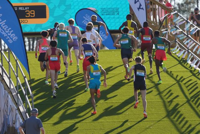 (260111) -- TALLAHASSEE, Jan. 11, 2026 (Xinhua) -- Athletes compete during the Mixed Relay competition at the World Athletics Cross Country Championships 2026 in Tallahassee, Florida, the United States, on Jan 10, 2026. (Xinhua/Zhang Fengguo)