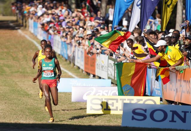 (260111) -- TALLAHASSEE, Jan. 11, 2026 (Xinhua) -- Ethiopia's Wosane Asefa (front) competes during the U20 women's race at the World Athletics Cross Country Championships 2026 in Tallahassee, Florida, the United States, on Jan. 10, 2026. (Xinhua/Zhang Fengguo)