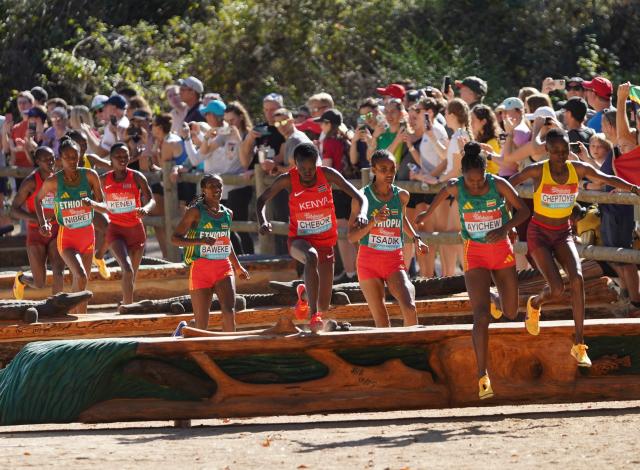 (260111) -- TALLAHASSEE, Jan. 11, 2026 (Xinhua) -- Athletes run through Alligator Alley during the Senior Women's Race at the World Athletics Cross Country Championships 2026 in Tallahassee, Florida, the United States, on Jan. 10, 2026. (Xinhua/Zhang Fengguo)