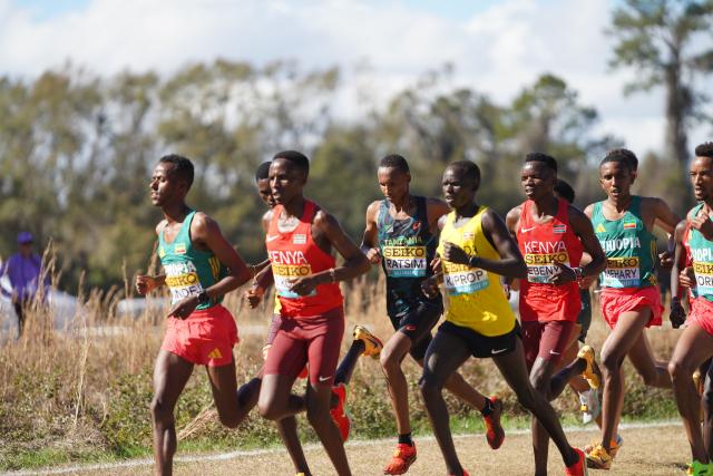 (260111) -- TALLAHASSEE, Jan. 11, 2026 (Xinhua) -- Athletes compete during the Senior Men's Race at the World Athletics Cross Country Championships 2026 in Tallahassee, Florida, the United States, on Jan. 10, 2026. (Xinhua/Zhang Fengguo)