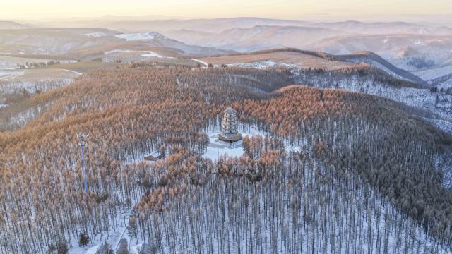 (260111) -- BEIJING, Jan. 11, 2026 (Xinhua) -- An aerial drone photo taken on Jan. 10, 2026 shows the winter scenery at the Saihanba national nature reserve in Chengde City, north China's Hebei Province. (Photo by Liu Mancang/Xinhua)