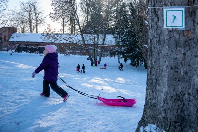 (260112) -- PRAGUE, Jan. 12, 2026 (Xinhua) -- A child plays on a sledding hill in Prague, the Czech Republic, Jan. 11, 2026. (Photo by Dana Kesnerova/Xinhua)