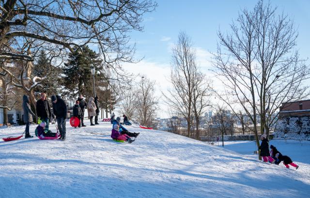 (260112) -- PRAGUE, Jan. 12, 2026 (Xinhua) -- People play on a sledding hill in Prague, the Czech Republic, Jan. 11, 2026. (Photo by Dana Kesnerova/Xinhua)
