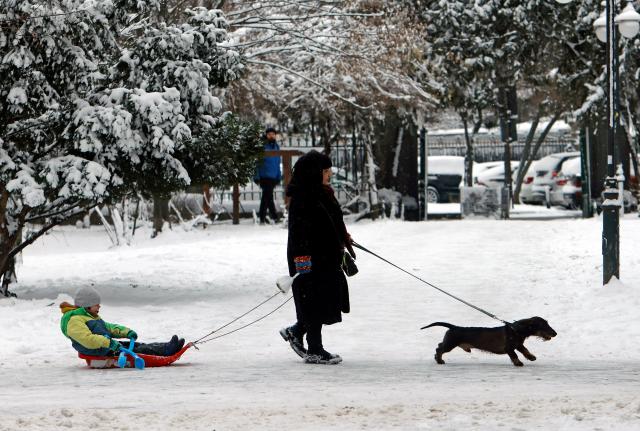(260112) -- BUCHAREST, Jan. 12, 2026 (Xinhua) -- A woman walks with her dog and pulls a sledge carrying her child amid snowfall at a park in Bucharest, Romania, on Jan. 11, 2026.
  Romania is facing a severe winter episode, with snowfall, blizzards, persistent frost and extremely low temperatures in large parts of the country. (Photo by Cristian Cristel/Xinhua)